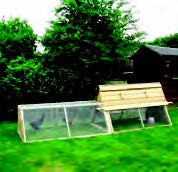 Image de culture sur Mulch